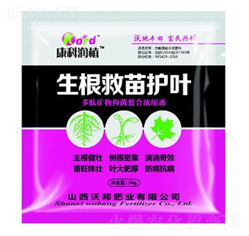 ���������o�~ �ְ�ʘI(y��)