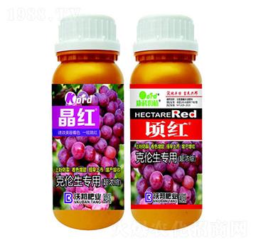 �˂������� �ְ�ʘI(y��)