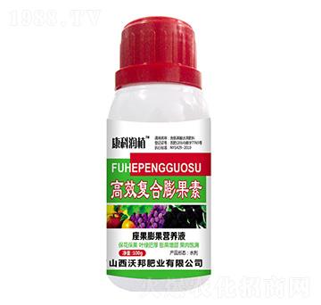 �ͺ������ �ְ�ʘI(y��)