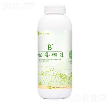 硼佳B+-世睿生物