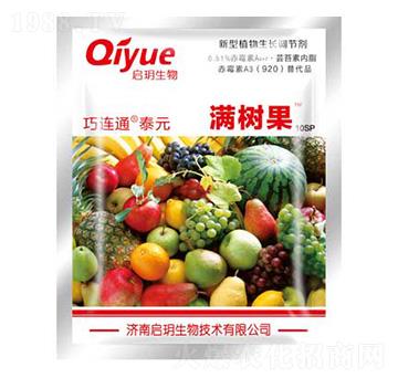 滿(mǎn)樹(shù)果（袋） 巧特