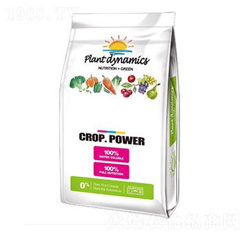 美國(guó)大又紅-大華墾