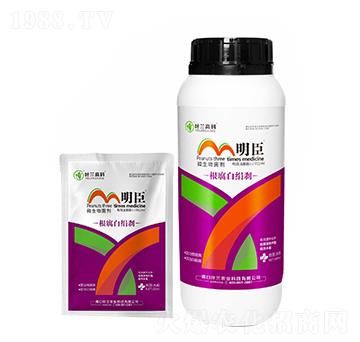 微生物菌劑-根腐白絹剎-明臣-葉蘭高科
