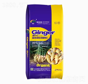 ��(f��)��΢�������-������-�ǵ�