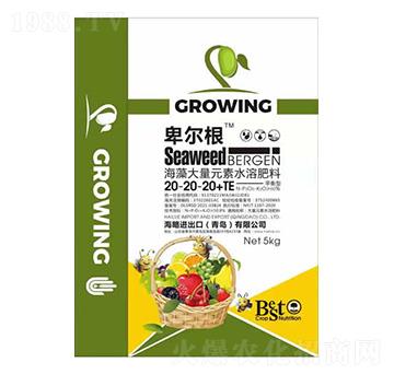 海藻大量元素水溶肥料20-20-20+TE-卑爾根-海略