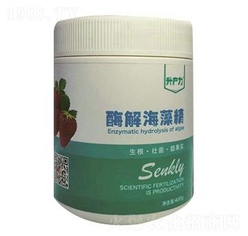 草莓專用-酶解海藻精-升產(chǎn)力
