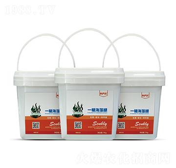 一桶海藻精 （微顆粒型）-升產(chǎn)力