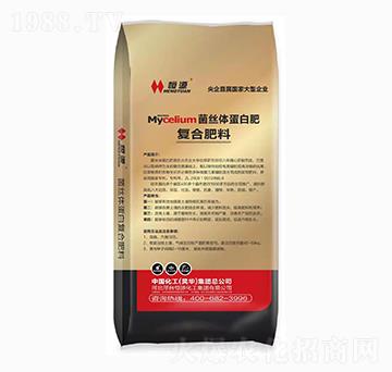 菌絲體蛋白肥-復(fù)合肥料-恒洋化工