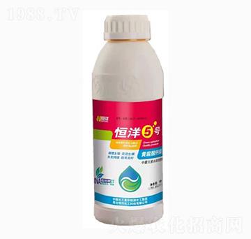 恒洋5號(hào)-恒洋化工