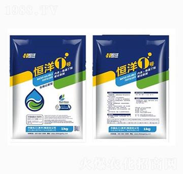 恒洋1號(hào)-恒洋化工