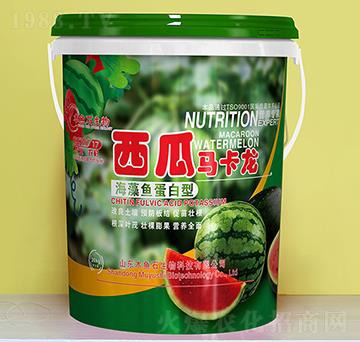 海藻魚(yú)蛋白型-西瓜馬卡龍-木魚(yú)石生物