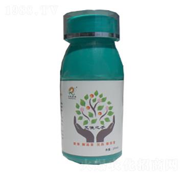 天使之手-仁禾鼎豐