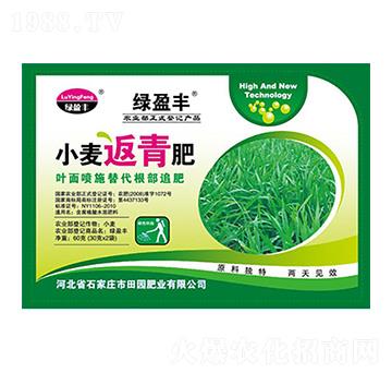 小麥返青肥-田園肥業(yè)