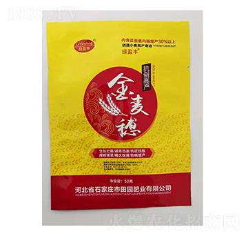 金麥穗-田園肥業(yè)