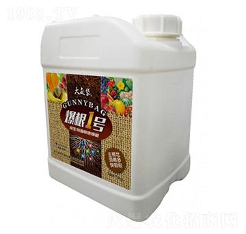 爆根1號(hào)-大麻袋-昆騰農(nóng)業(yè)