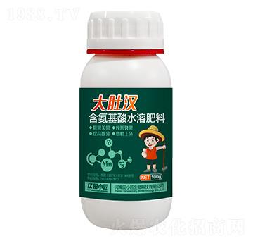 含氨基酸水溶肥料-大肚漢-億田小匠