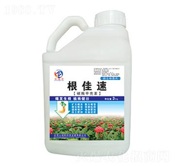 ̼ø�ך���-������-�߿���