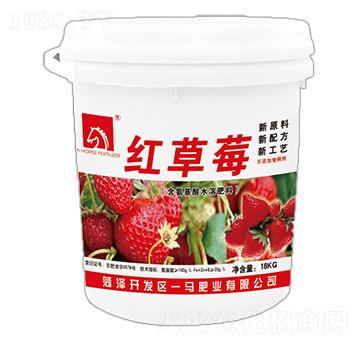 含氨基酸水溶肥料-紅草莓-一馬生態(tài)