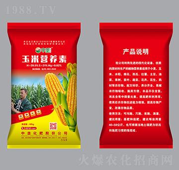 玉米營養(yǎng)素（紅袋）-中壟