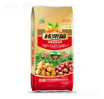 核桃板栗專用肥-希星肥業(yè)
