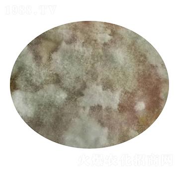 哈茨木霉-鑫圣源