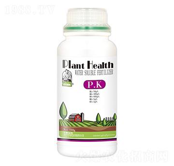 P.K-ʥ��ʘI(y��)