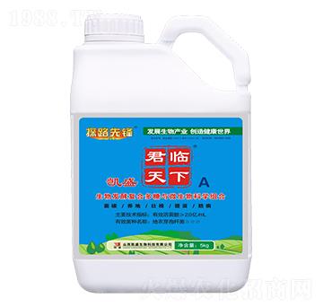 ΢�������-���R����A