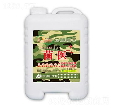 ���t(y��)-ʢ������