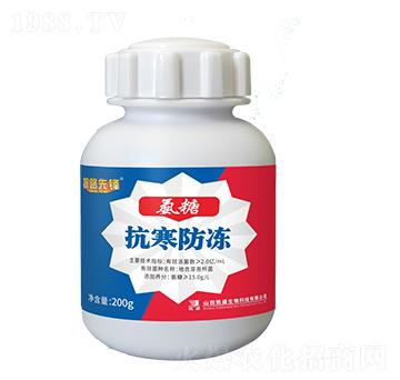 氨糖·抗寒防凍-探路先鋒-凱盛肥業(yè)