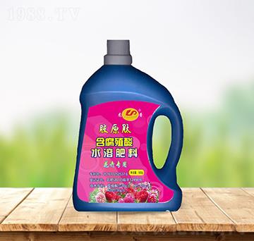 含腐殖酸水溶肥料（花卉專用）-龍普生物