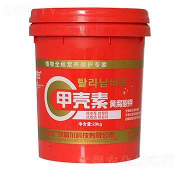 �ך����S�����-�����Ƽ�