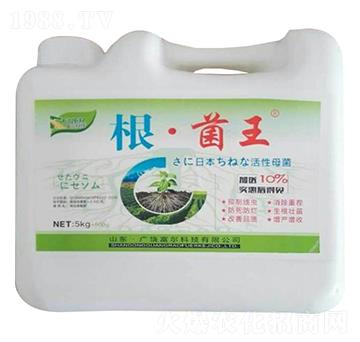 ��������-�����Ƽ�