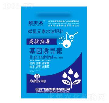 �����T��(d��o)��-�n��̫-�����Ƽ�