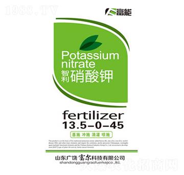 �����-�����Ƽ�