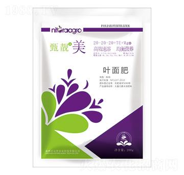 大量元素水溶肥20-20-20+TE+MgO-甄靚美-尼達(dá)羅