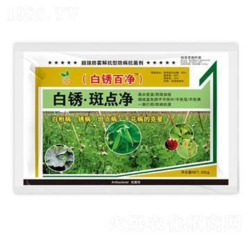 白銹·斑點凈-白銹百凈-暢瞬