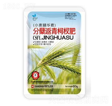 С�����Y�����辷�-��˲