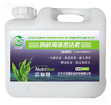 ø�⺣�弤����-���߇��r(n��ng)�I(y��)