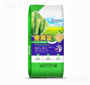 小麥返青肥-科技之光-潤土