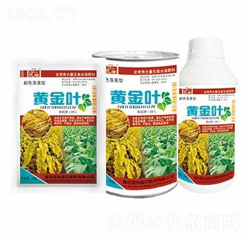 ��ɫ���S��-�S���~-�������r(n��ng)