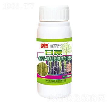 �������L(zh��ng)���������A��-��(gu��)�����r(n��ng)