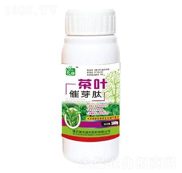 ���~��ѿ��-��(gu��)�����r(n��ng)