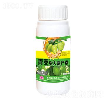青棗膨大增產(chǎn)素-國(guó)光益農(nóng)