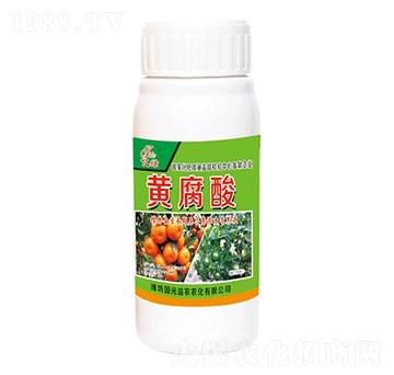 黃腐酸-國光益農(nóng)