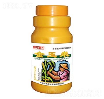 金玉米-國光益農(nóng)