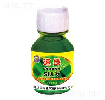 枯萎黃萎克星-速綠-國光益農(nóng)