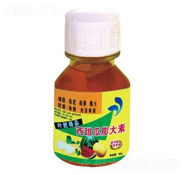 西甜瓜膨大素-國光益農(nóng)