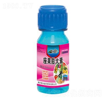 座果膨大素-國(guó)光益農(nóng)