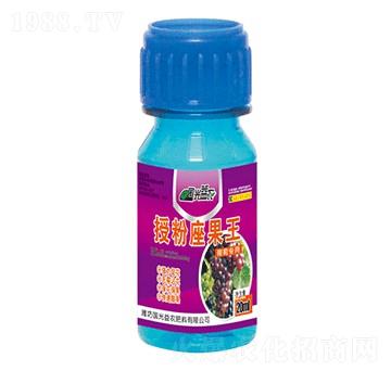 葡萄專用授粉增花座果王-國光益農(nóng)