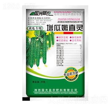 黃瓜增瓜嫩直靈-國(guó)光益農(nóng)